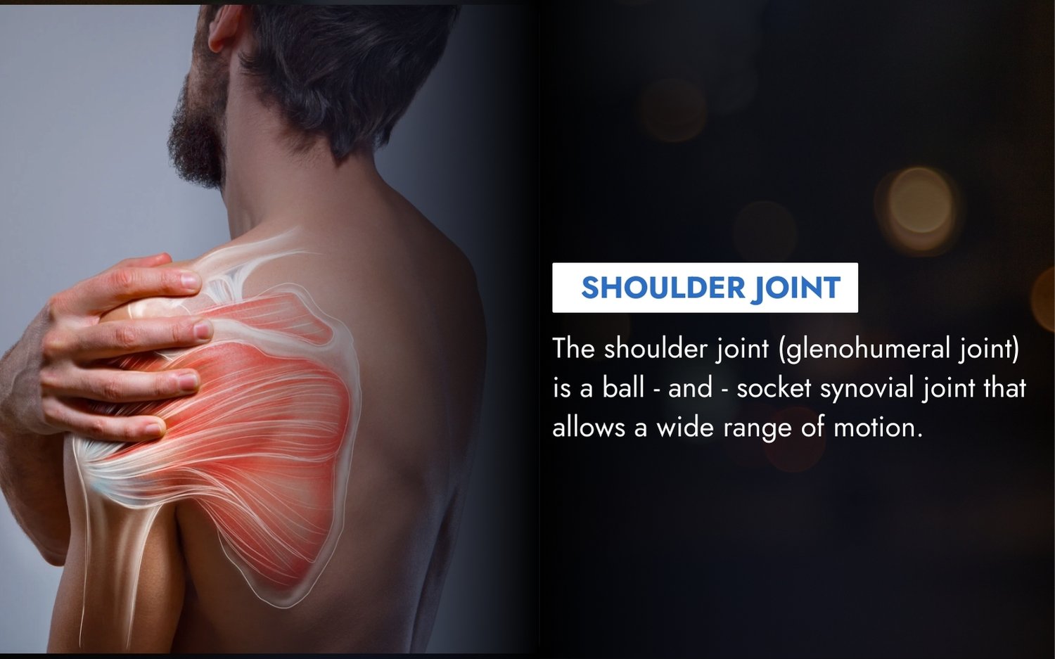 Dr.-Md.-Iftekharul-Alam-Mobile-Slider