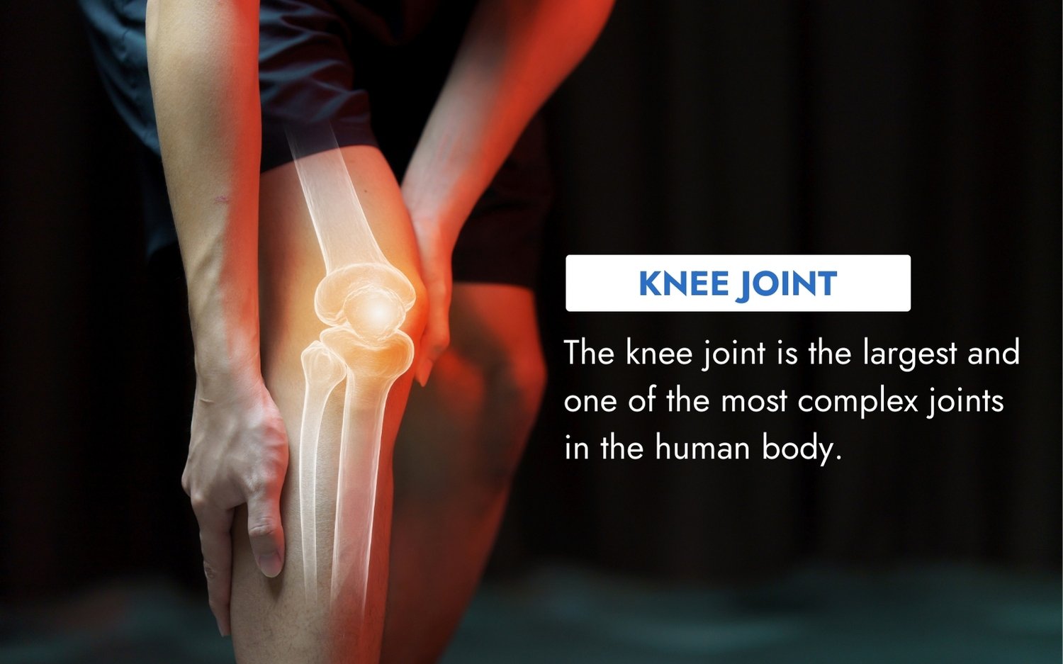 Dr.-Md.-Iftekharul-Alam-Mobile-Slider-2