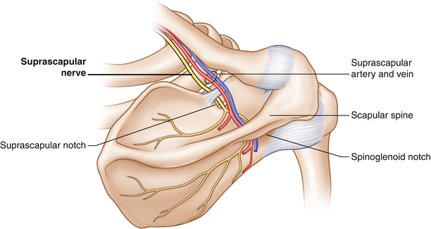 Arthroscopic Shoulder Surgery Doctors in Pune India