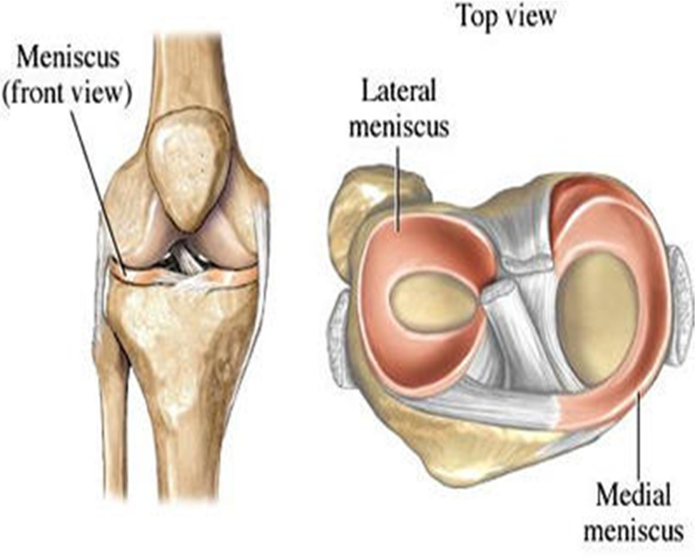 Best Meniscus Injury Doctors In Pune